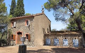 Mazet Du Chateau Joyeux De Violet